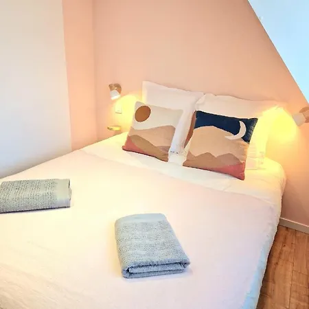 度假居 La Petite Porte - Petite Venise - 科尔马