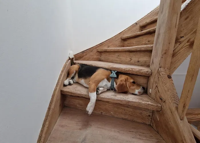 La Petite Porte - Petite Venise -